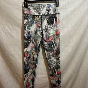 Evolution & Creation leggings